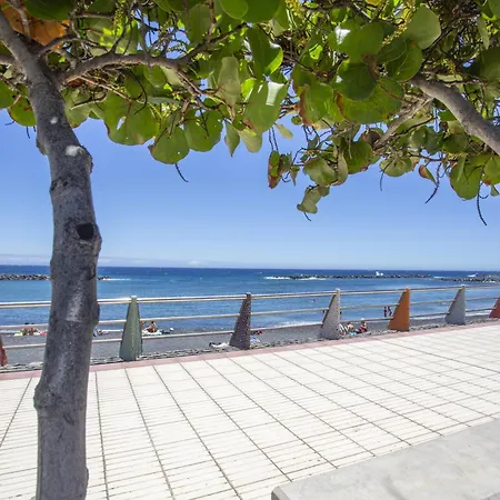 La Octava Isla * Пуэртито-де-Гуимар